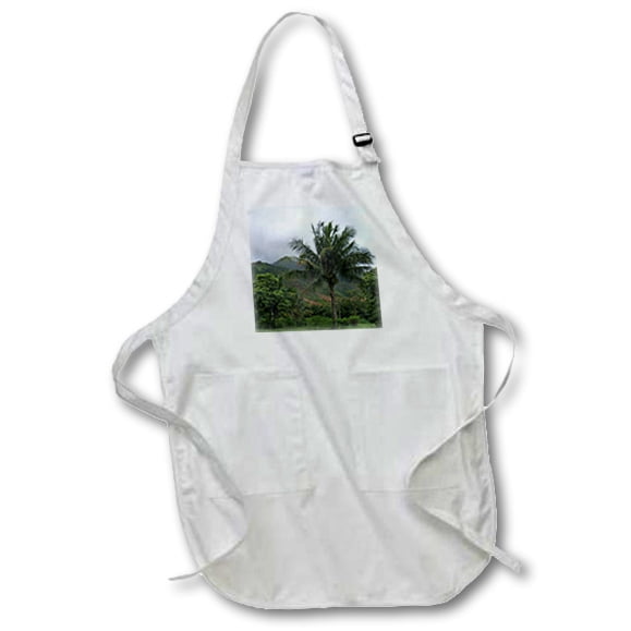 22 by 24 Hawaii Medium Length Apron with Pouch Pockets was Photographed Feeding at Night Off The Big Island 3dRose apr_46010_2 This Manta Ray Manta Birostris 22 by 24 Hawaii Medium Length Apron with Pouch Pockets was Photographed Feeding at Night Off The Big Island 3dRose apr_46010_2 This Manta Ray Manta Birostris